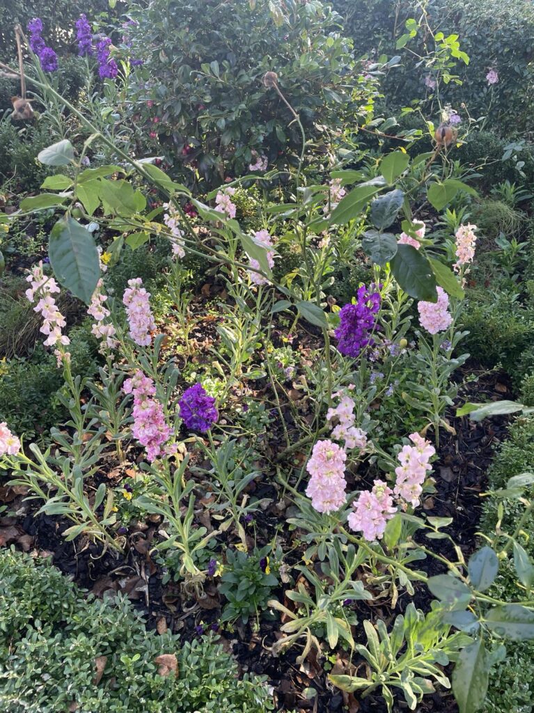 10 engaging nature activities for kids ages 4-6 years old: collecting flowers on your walk.