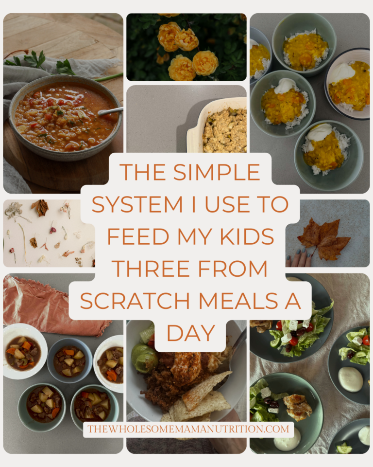 The Simple System I Use To Feed My Kids Three From Scratch Meals A Day